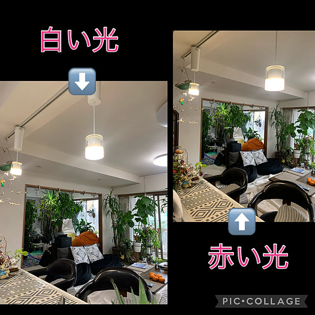 Aqettyさんの部屋