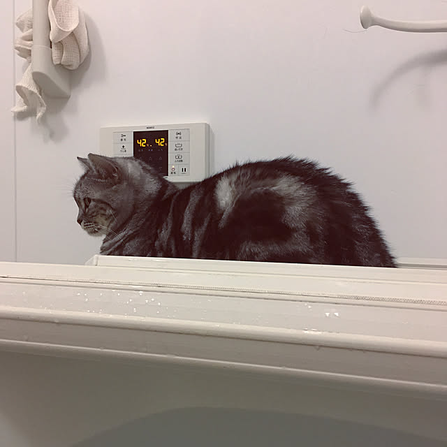 mikomaruさんの実例写真