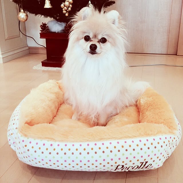 rieponさんの実例写真
