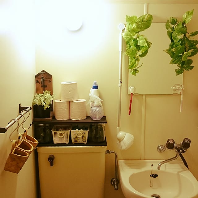 springcanolaさんの実例写真