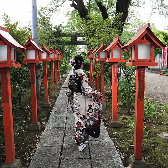実例写真