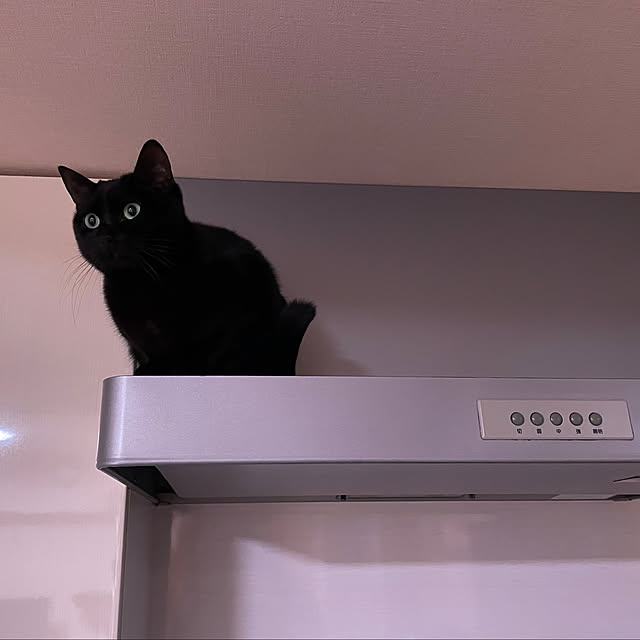 leafさんの実例写真