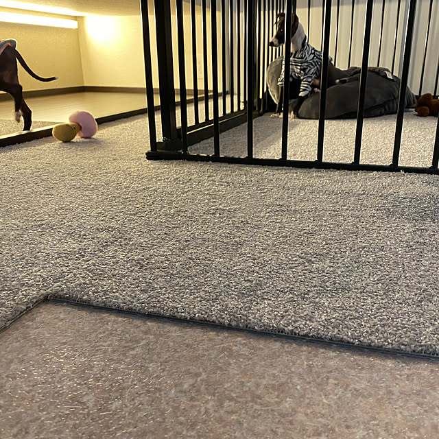 riakanaさんの実例写真