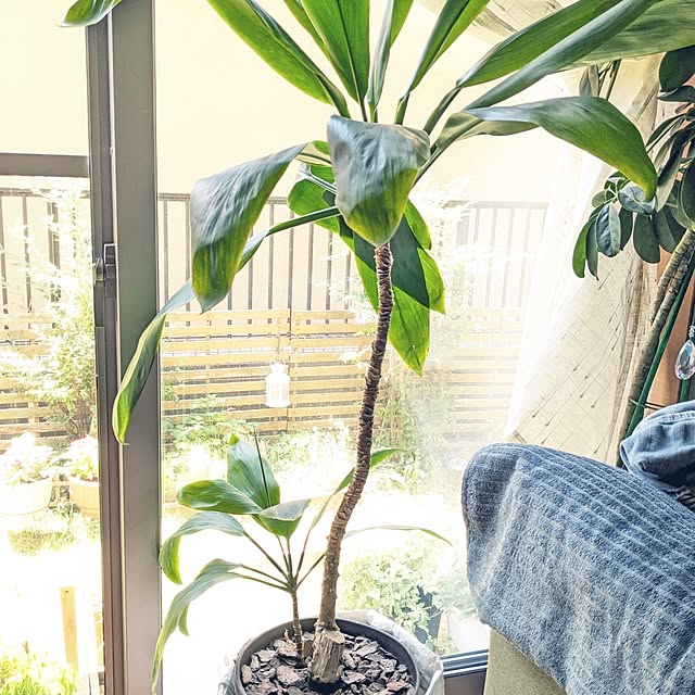 mofukoさんの部屋