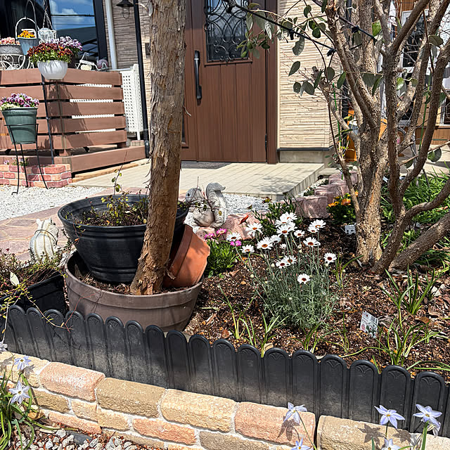 ronronさんの部屋