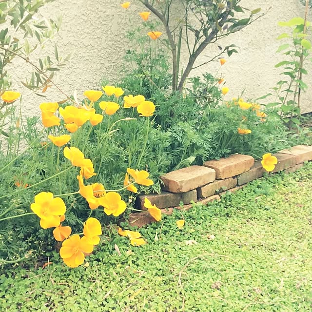 実例写真
