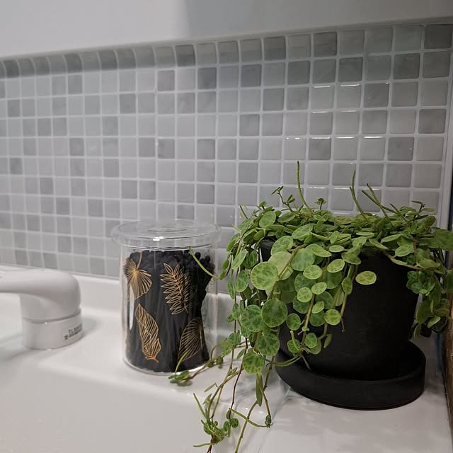 noaさんの実例写真