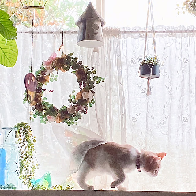 mintteaさんの実例写真