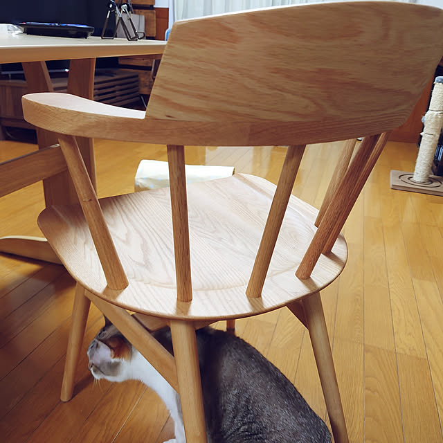 nachiさんの実例写真