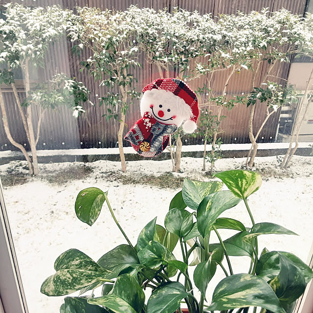 katさんの実例写真