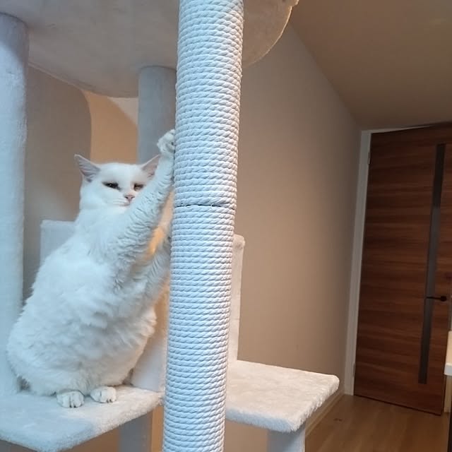 NOAHさんの実例写真