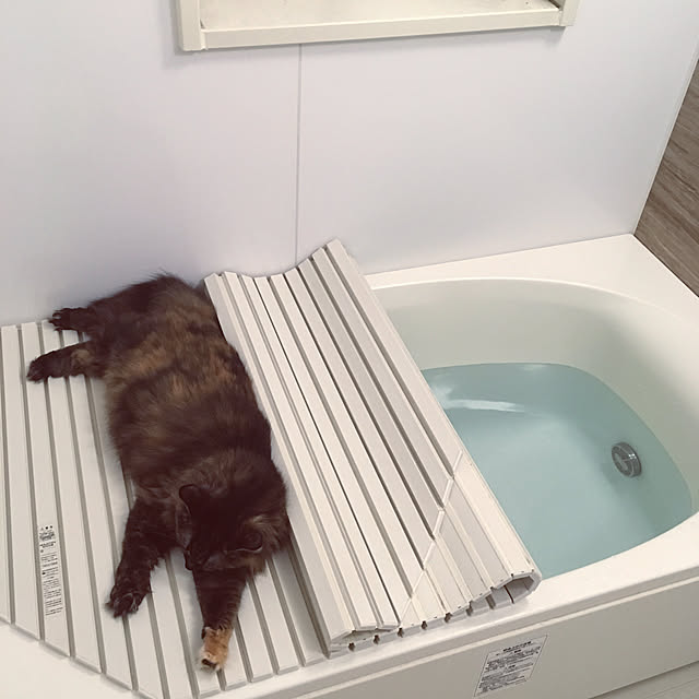 mikomaruさんの実例写真
