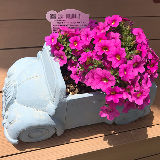 riiさんの実例写真