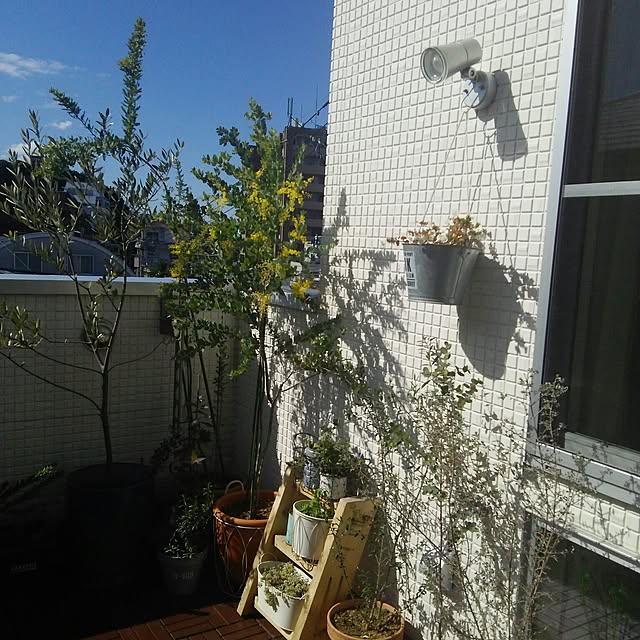 natsuomamaさんの実例写真