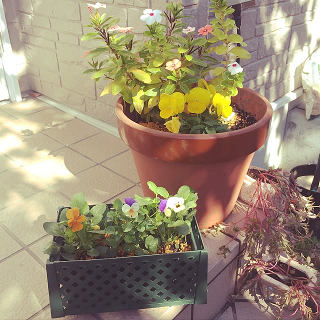 michi0413さんの実例写真