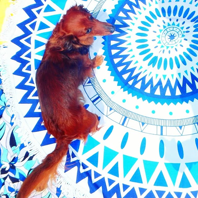 rumiさんの実例写真