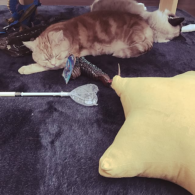 zaki_yuさんの実例写真
