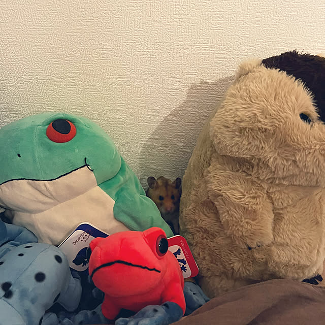 khaiさんの部屋