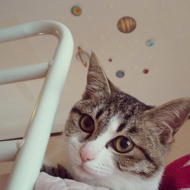 sakai0531cさんの実例写真