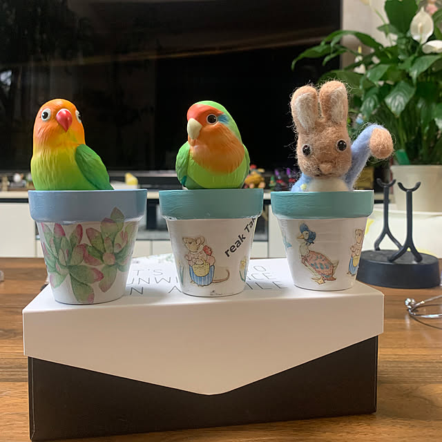 Aqettyさんの実例写真