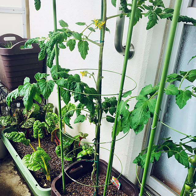 hanachanさんの部屋