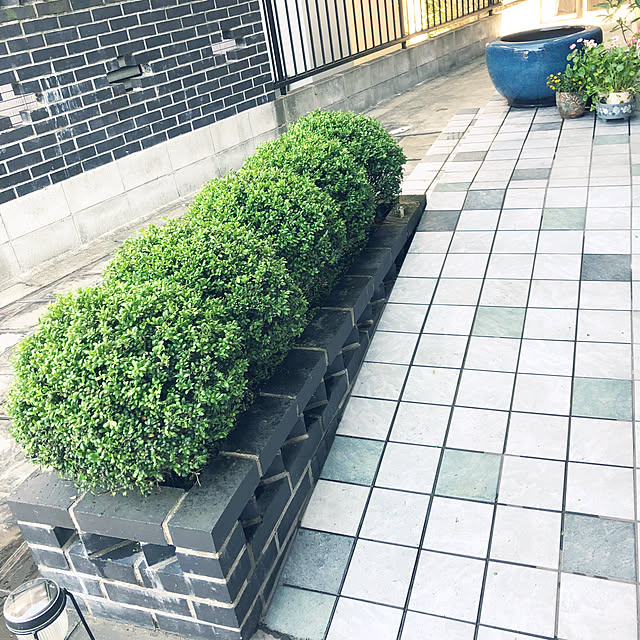 mutsuさんの実例写真