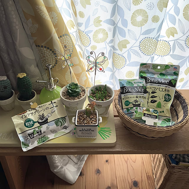 chiiyanさんの部屋