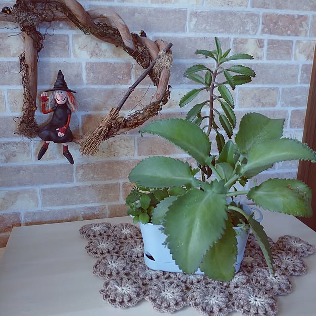 ree.yoshi-1001さんの実例写真