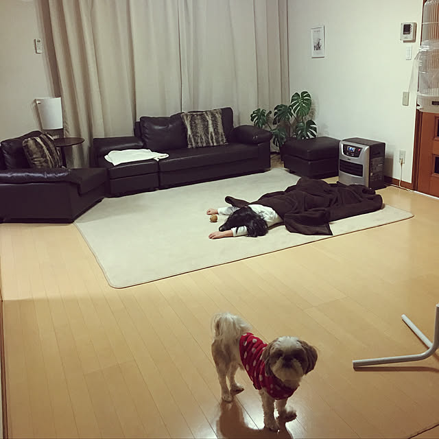 my_homeさんの実例写真