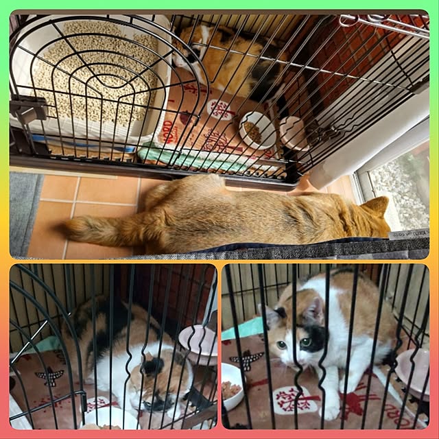 nanaさんの部屋