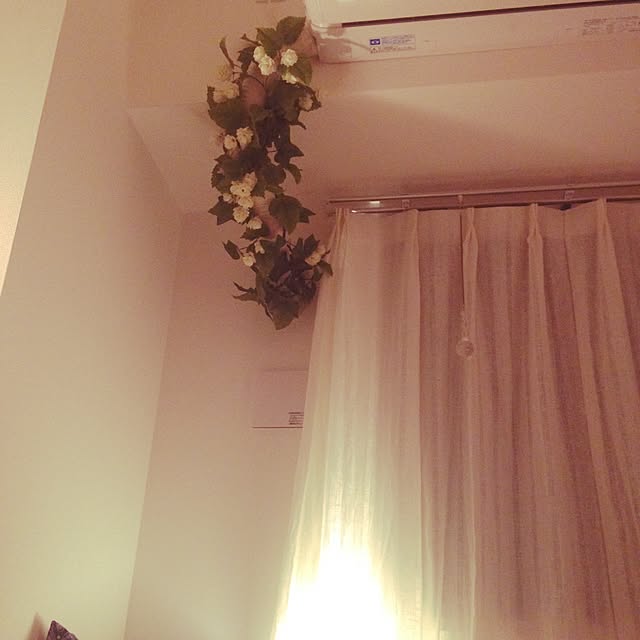 toguayaさんの実例写真