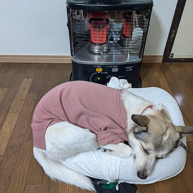 asaさんの部屋