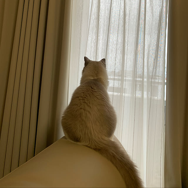 gumiさんの実例写真