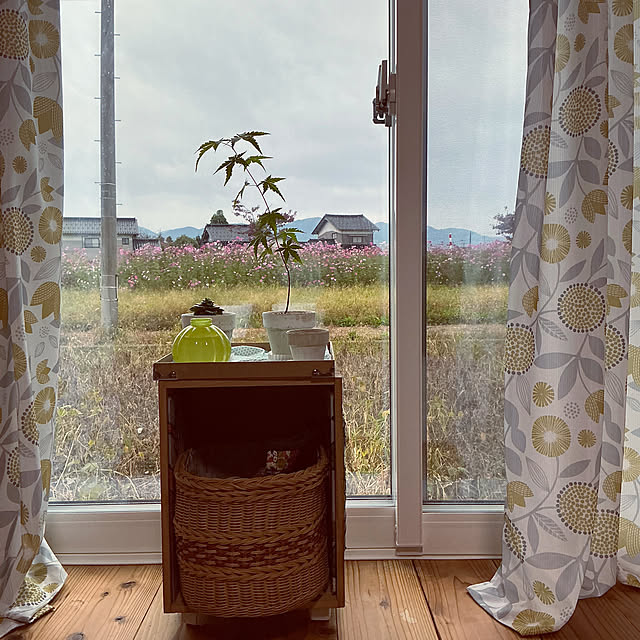 chiiyanさんの実例写真