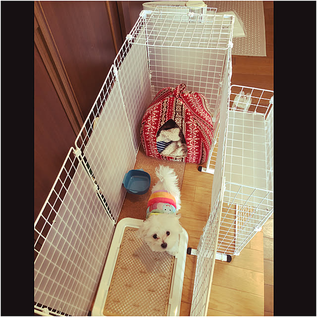 osarunoeijiさんの実例写真