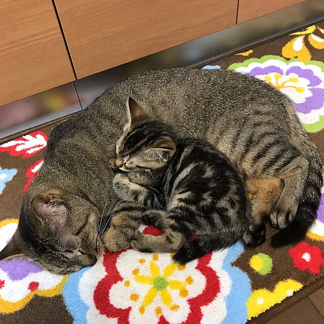 pepeさんの実例写真