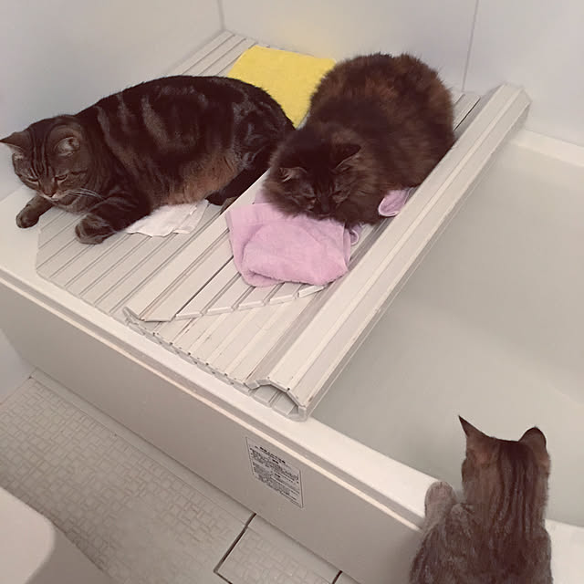 mikomaruさんの実例写真