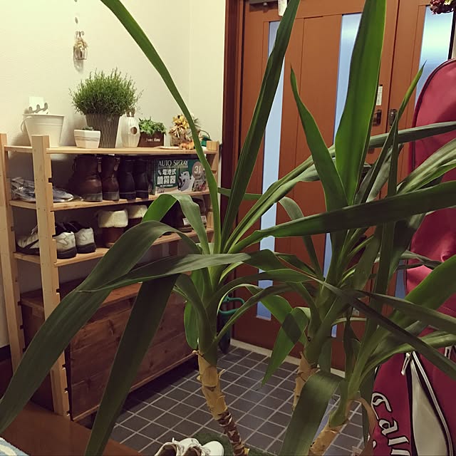 Kanakoさんの実例写真