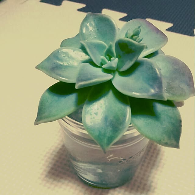 rikaさんの実例写真