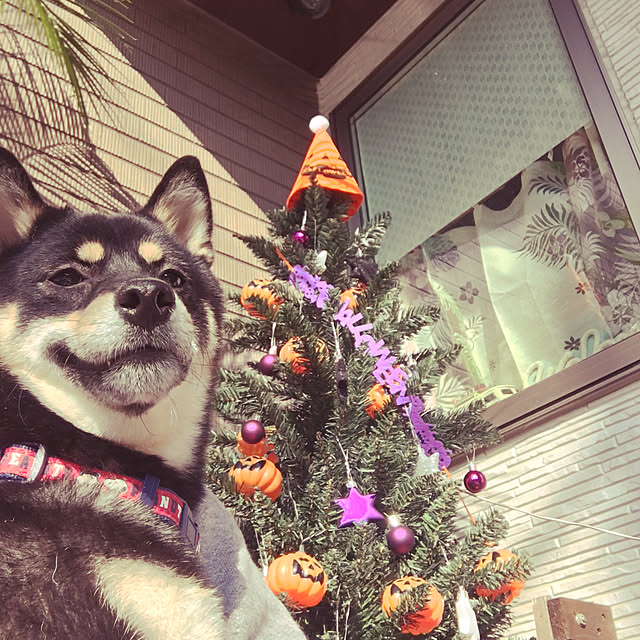 renさんの実例写真