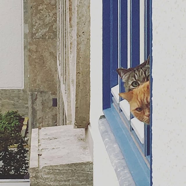 jucom.deさんの実例写真