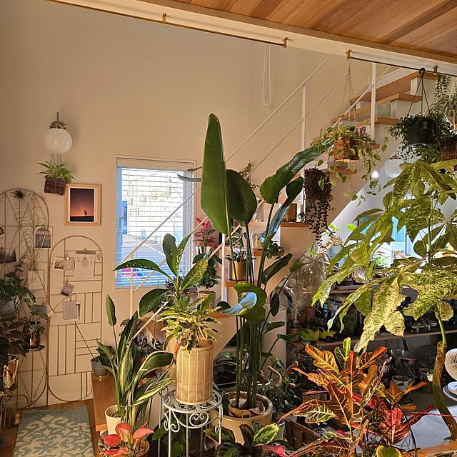 nonbiri_house_さんの実例写真