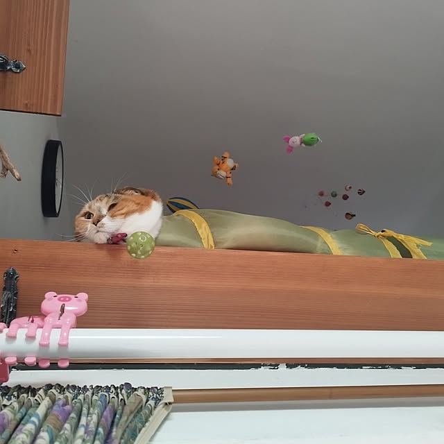 hiro3さんの部屋