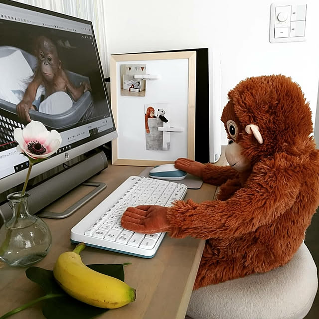 mocciさんの実例写真