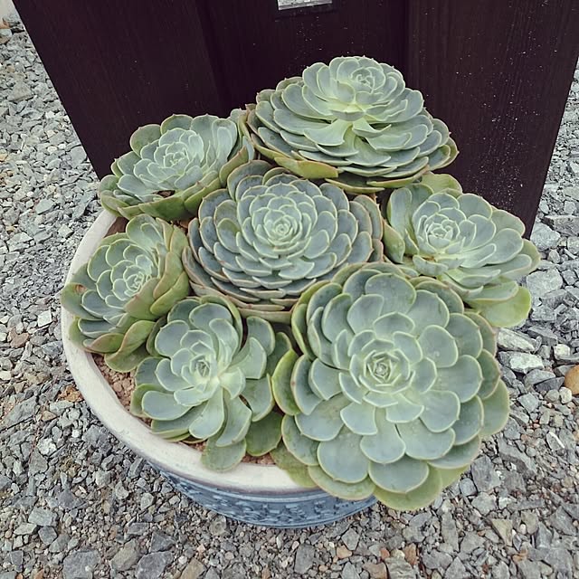 soaimさんの実例写真