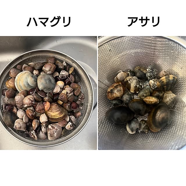 ToReTaRiさんの部屋