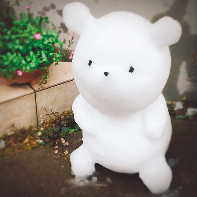 miechuraさんの部屋