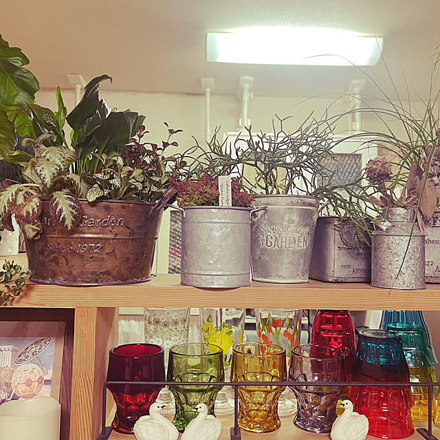 mamanさんの実例写真