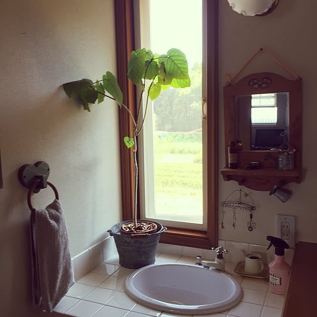chiさんの実例写真
