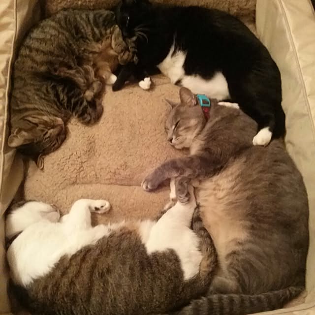 sukusuku834さんの実例写真